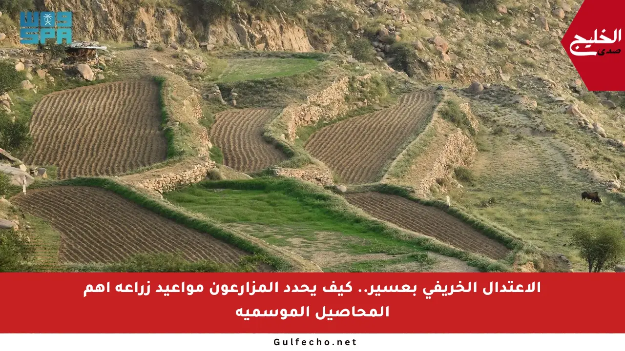 الاعتدال الخريفي بعسير.. كيف يحدد المزارعون مواعيد زراعة أهم المحاصيل الموسمية